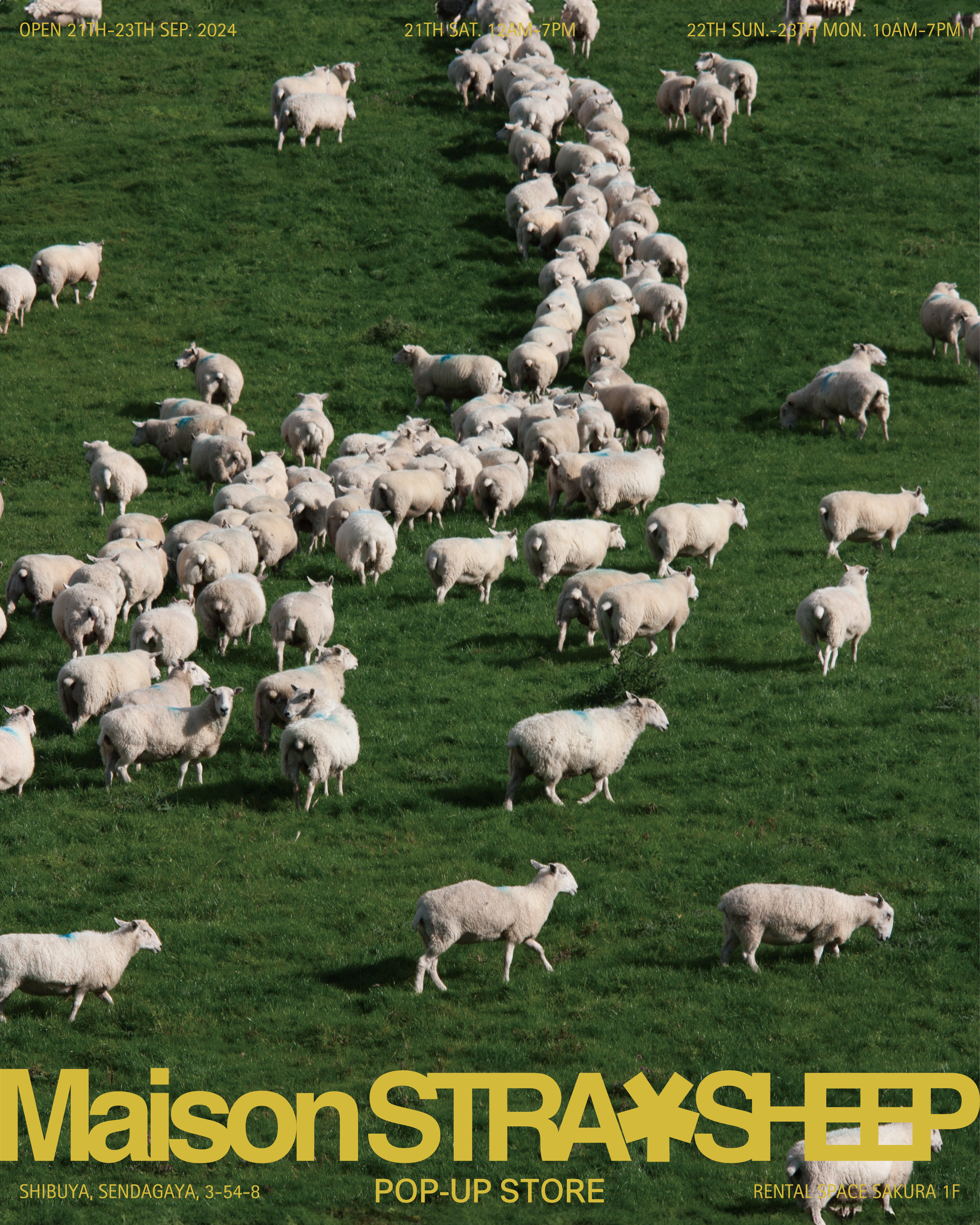 POP-UP STORE TOKYO開催のお知らせ POP-UP STORE TOKYO開催のお知らせ