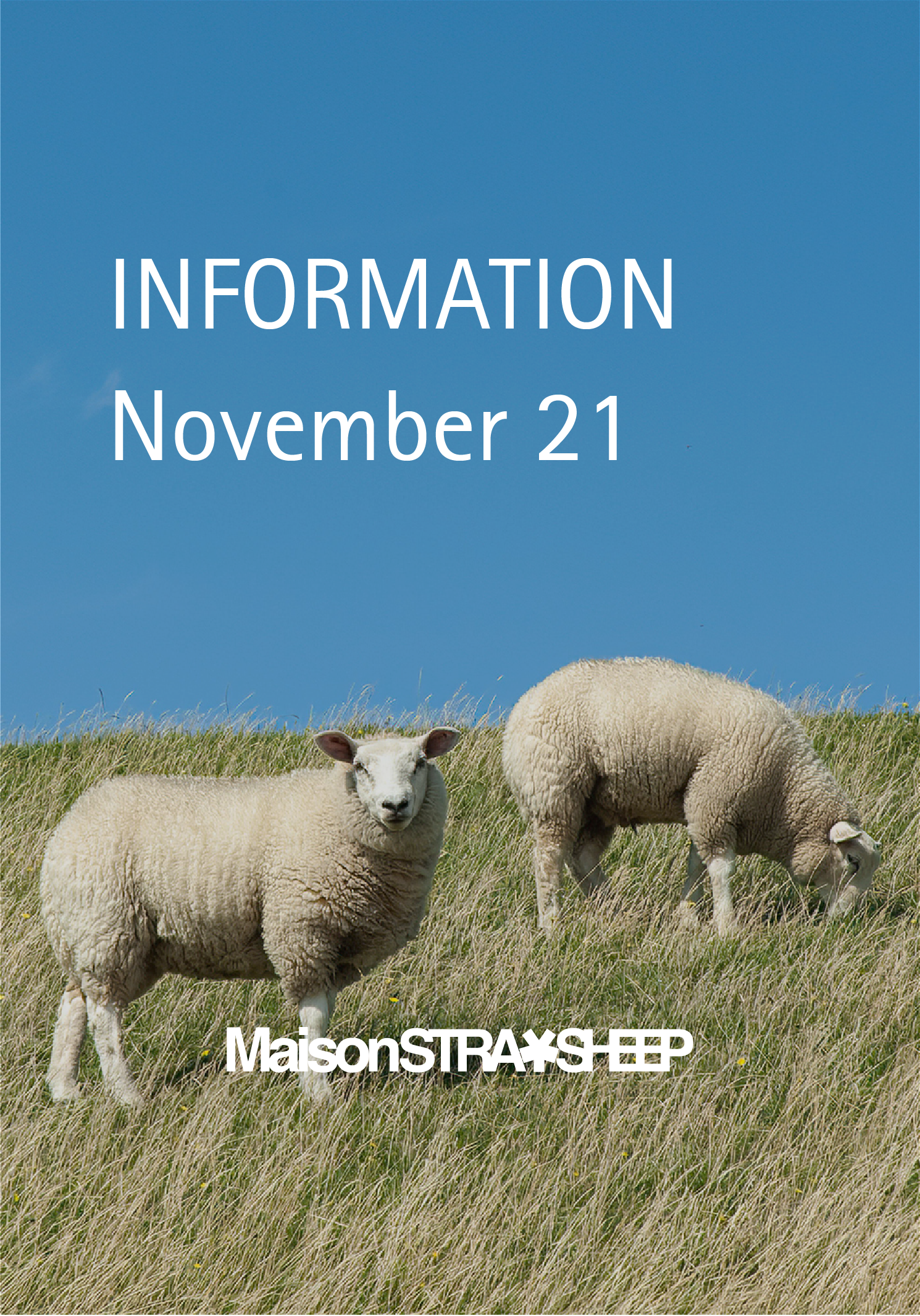 11月21日製品販売のお知らせ