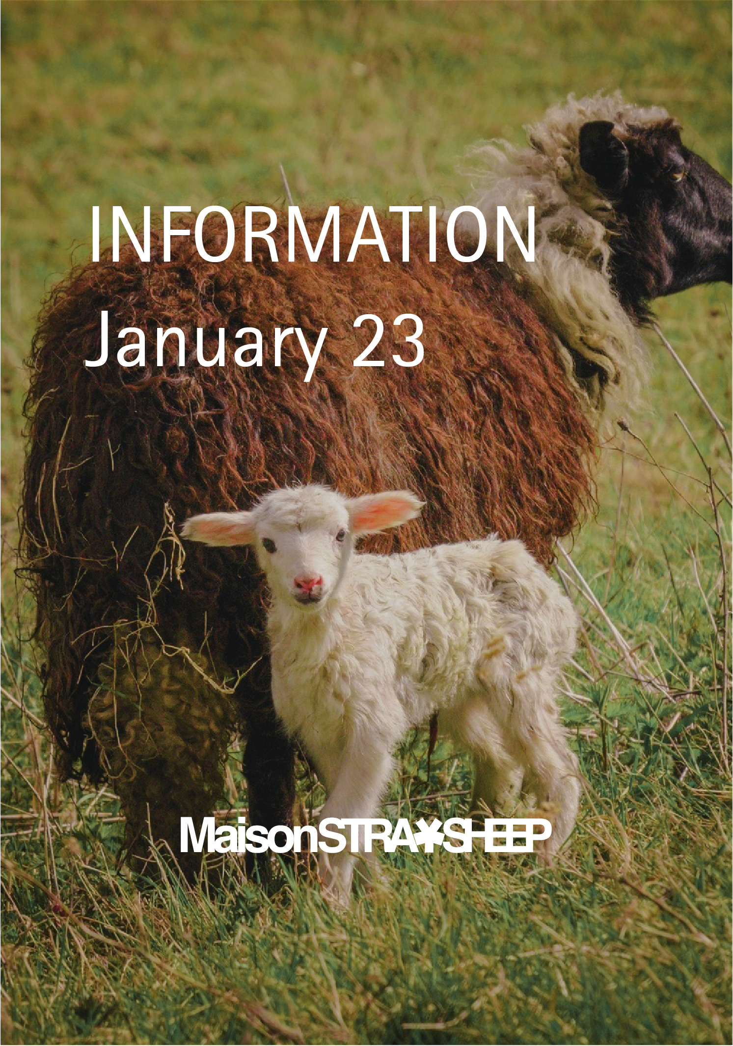 1月23日製品販売のお知らせ