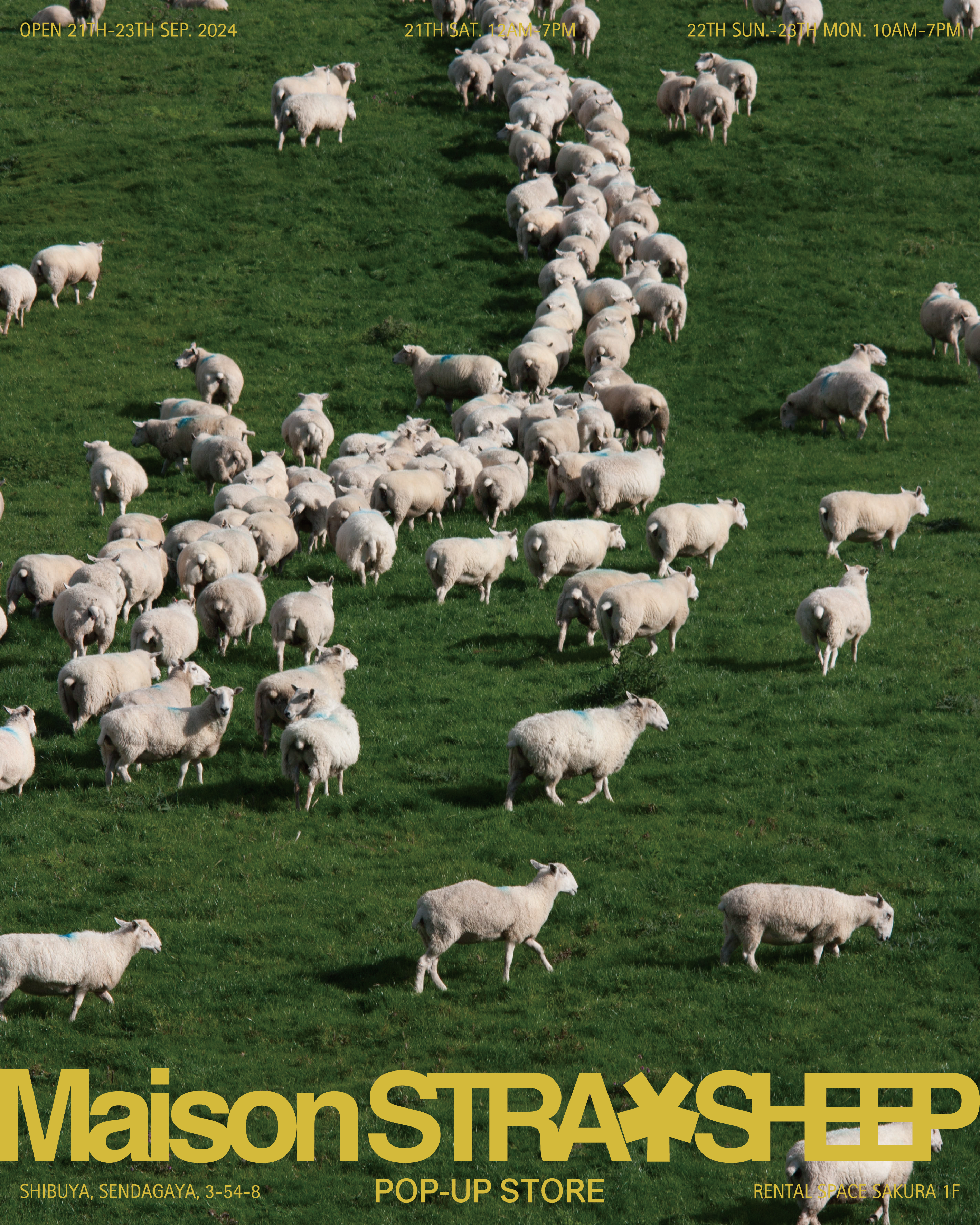 maisonstraysheep rug メゾンストレイシープ MaisonSTRAYSHEEP RUG