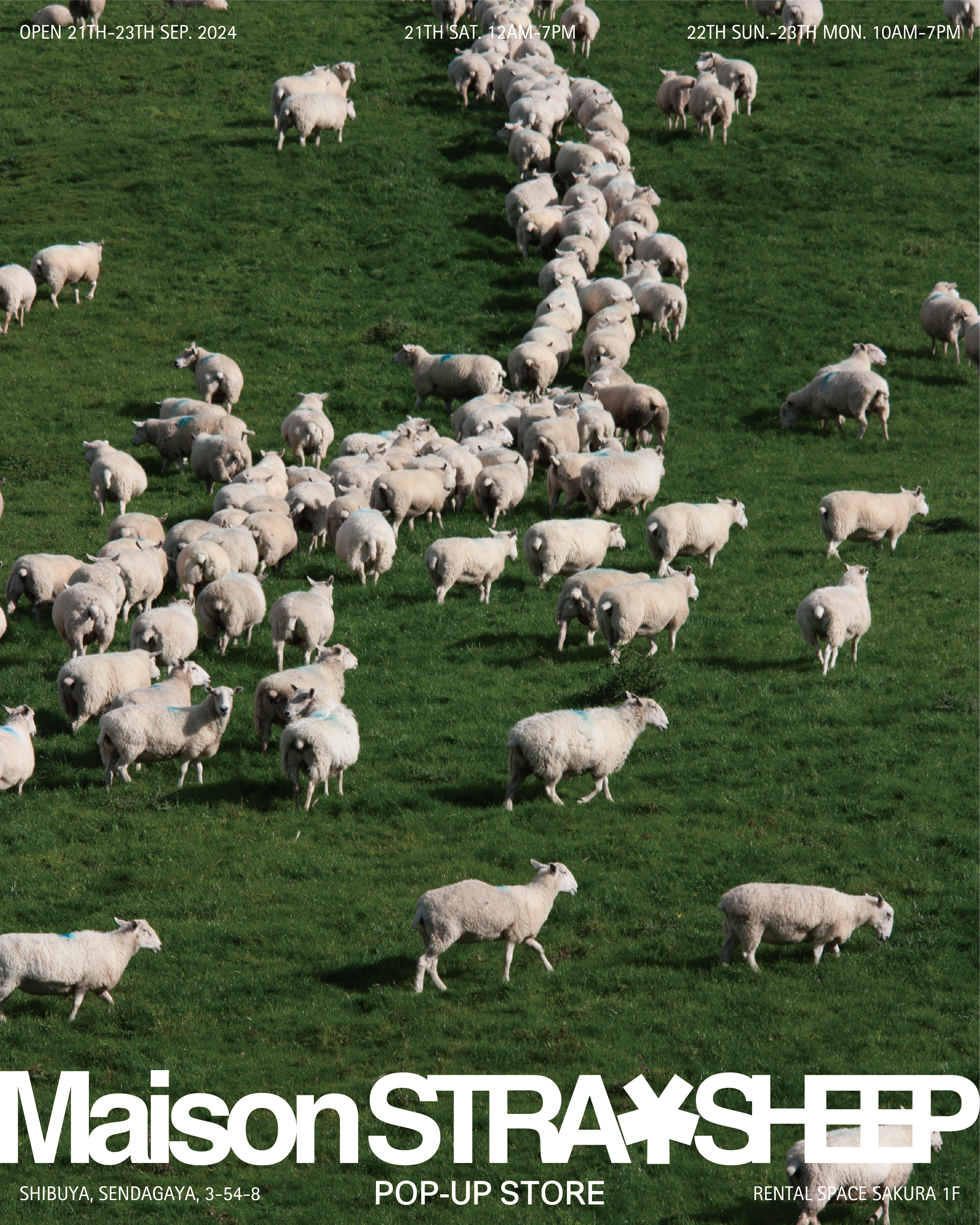 STRAYSHEEP RUG GREEN⭐Maison STRANSHEEP STRAYSHEEP RUG GREEN⭐Maison STRANSHEEP