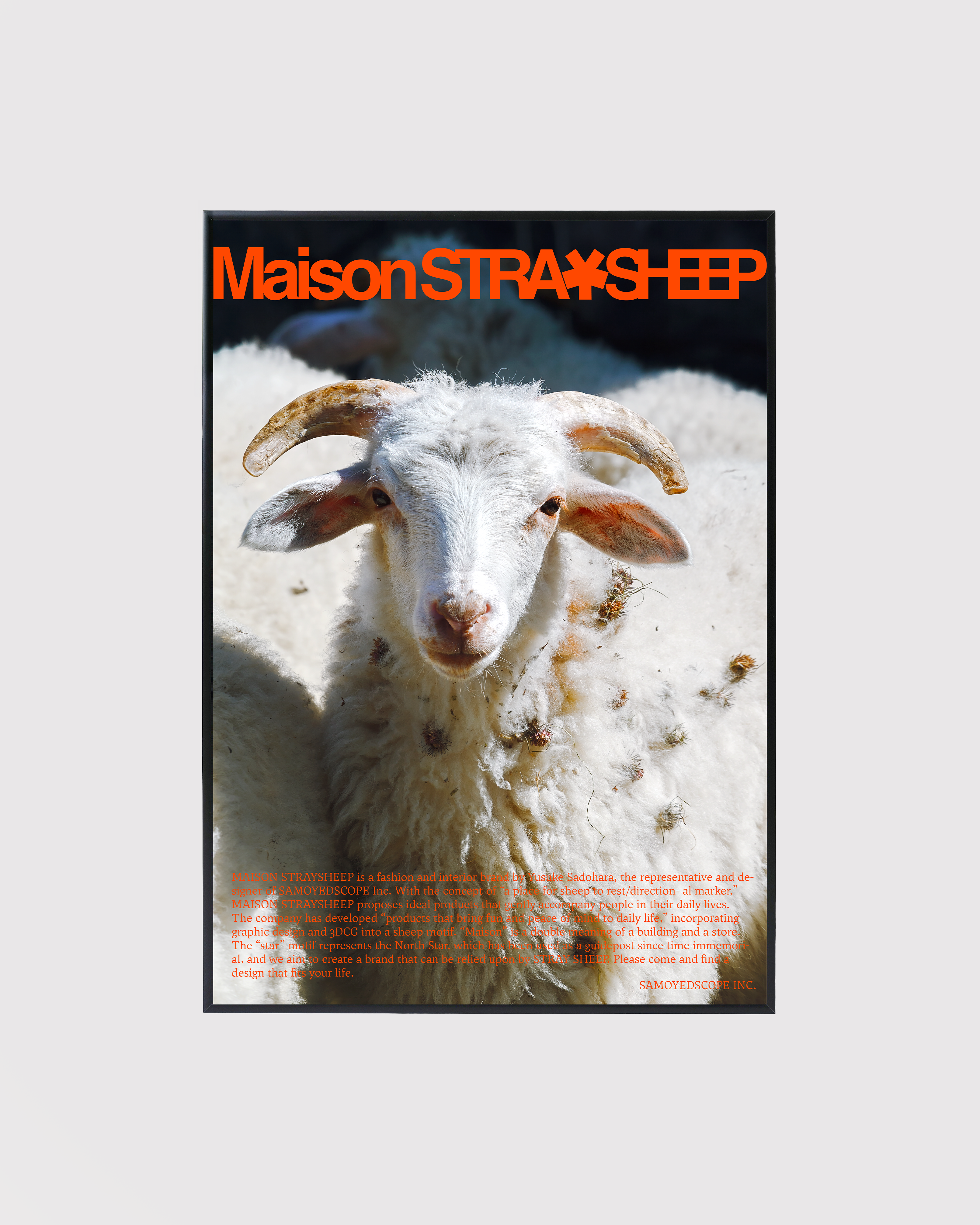 MAISONSTRAYSHEEP STRAYSHEEP RUG 【公式通販】